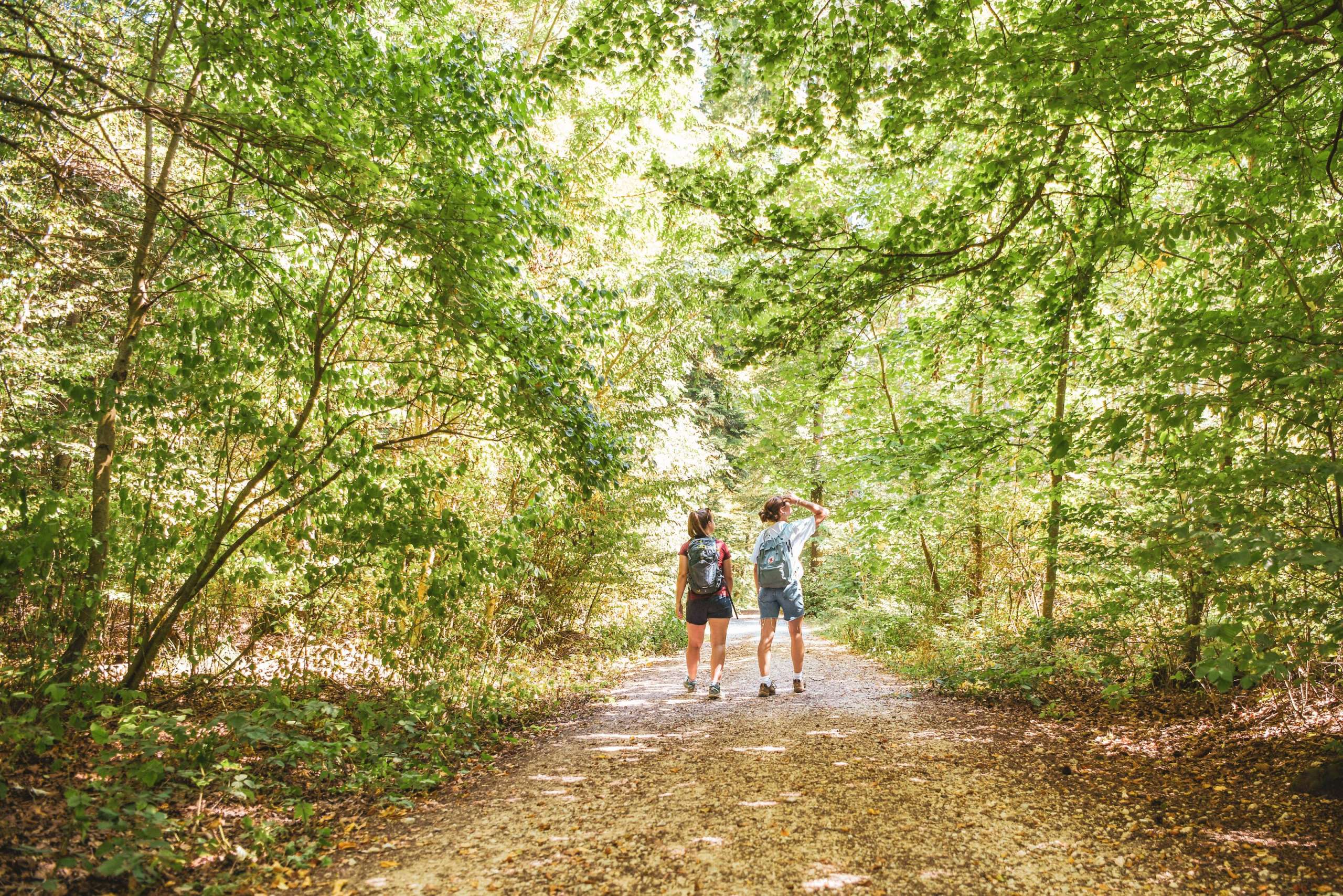 Wandern in Beringen Zwei Freundinnen mit Rucksack wandern durch den Wald auf einem Naturweg.