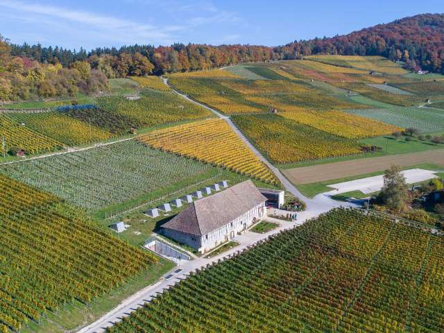 In 3 Tagen erleben In 3 Tagen erleben