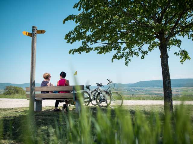 Draussen in der Natur Draussen in der Natur