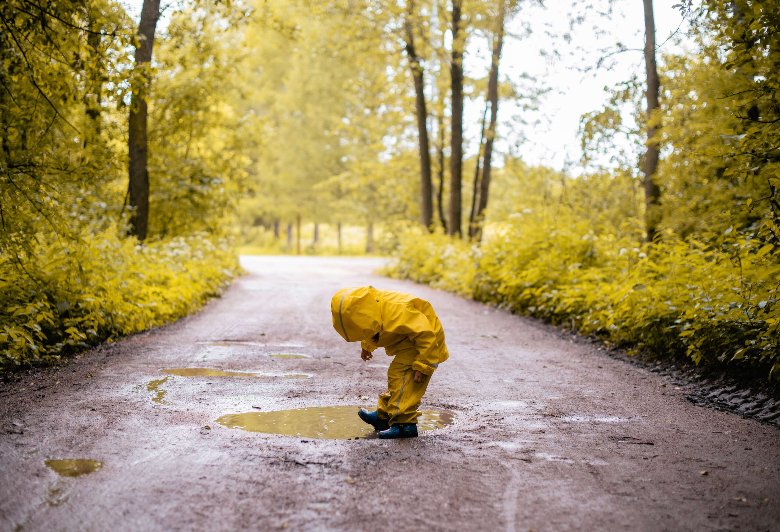 Ein Kind in gelber Regenjacke und Regenhose spielt in einer Pfütze nach dem Regen.